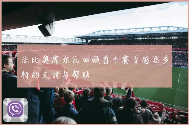 法比奥席尔瓦回顾首个赛季感恩多特的支持与帮助